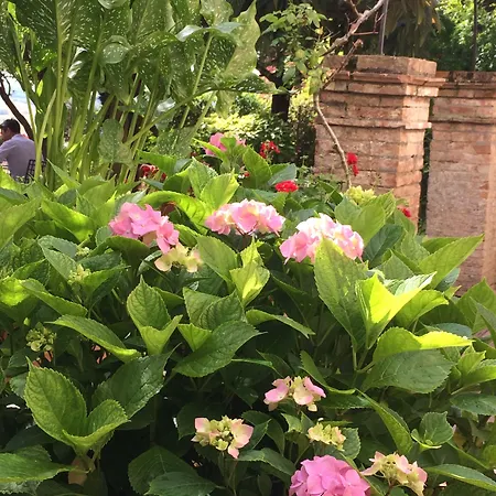 Santa Caterina Hotel Siena