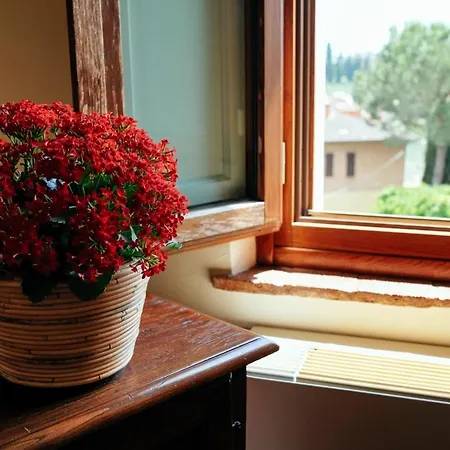 Santa Caterina سيينا