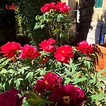 Santa Caterina