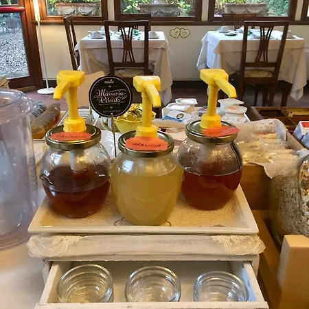 酒店 圣卡塔林纳酒店