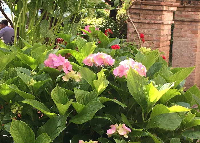 Santa Caterina מלון סיינה